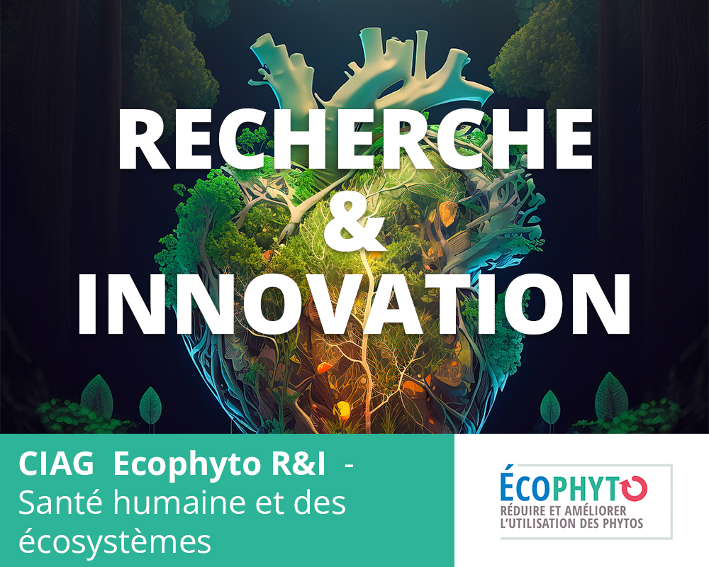 recherche-et-innovation