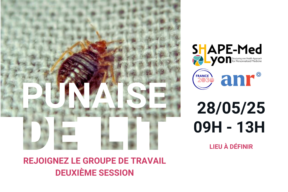 Punaise de lit événement LKD (2)