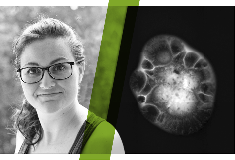 funding_fellows_research_ex